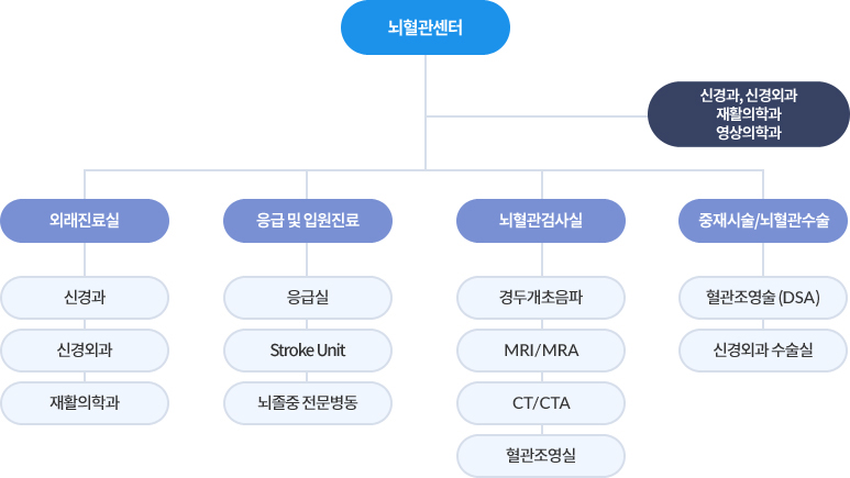뇌혈관센터 조직도