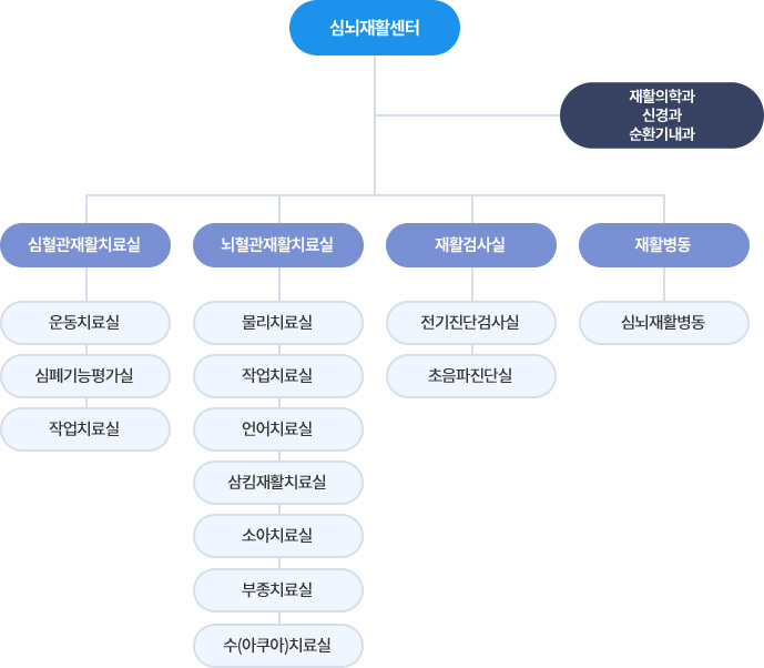 뇌혈관센터 조직도