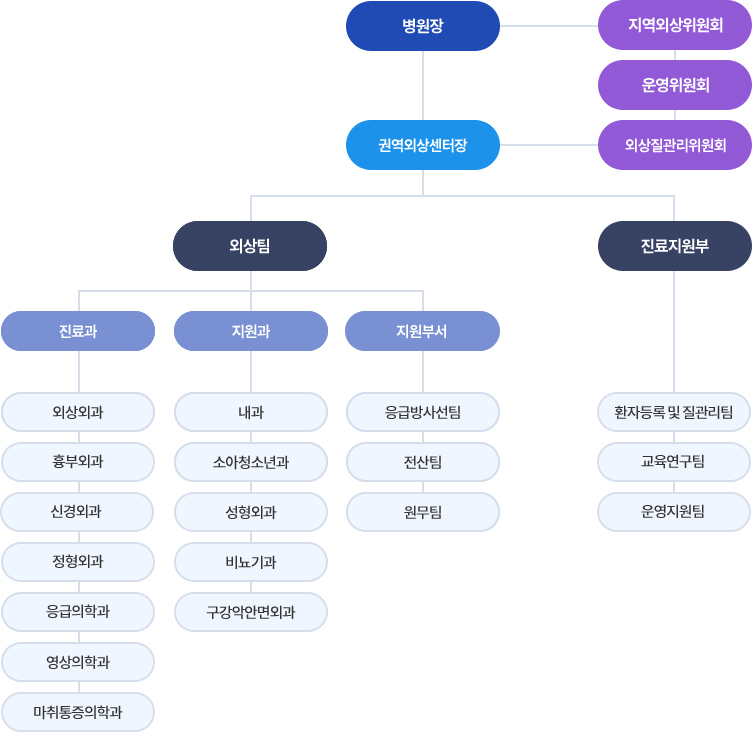 전북권역외상센터 조직도