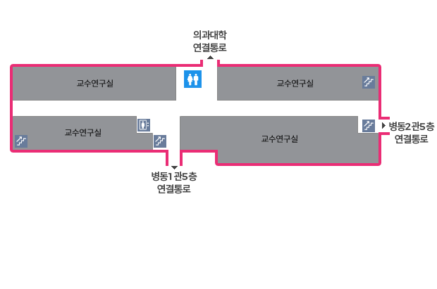 건물을 중심으로 북쪽 좌우측에 교수연구실이 있으며 맞은편에도 교수연구실이 있습니다. 건물의 가장 우측 북쪽에 계단이 있으며 북쪽 중앙에 화장실이 있습니다. 남쪽 좌측 교수연구실 사이에 계단과 엘리베이터가 있으며 가장 좌측 남쪽에 계단이 있습니다. 건물의 중앙에는 북쪽에 의과대학 연결통로가 있으며 남쪽에는 병동1관5층 연결통로가 있습니다.