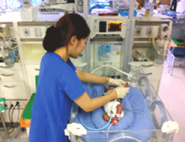 개방형 보육기(Intensive care Bed)